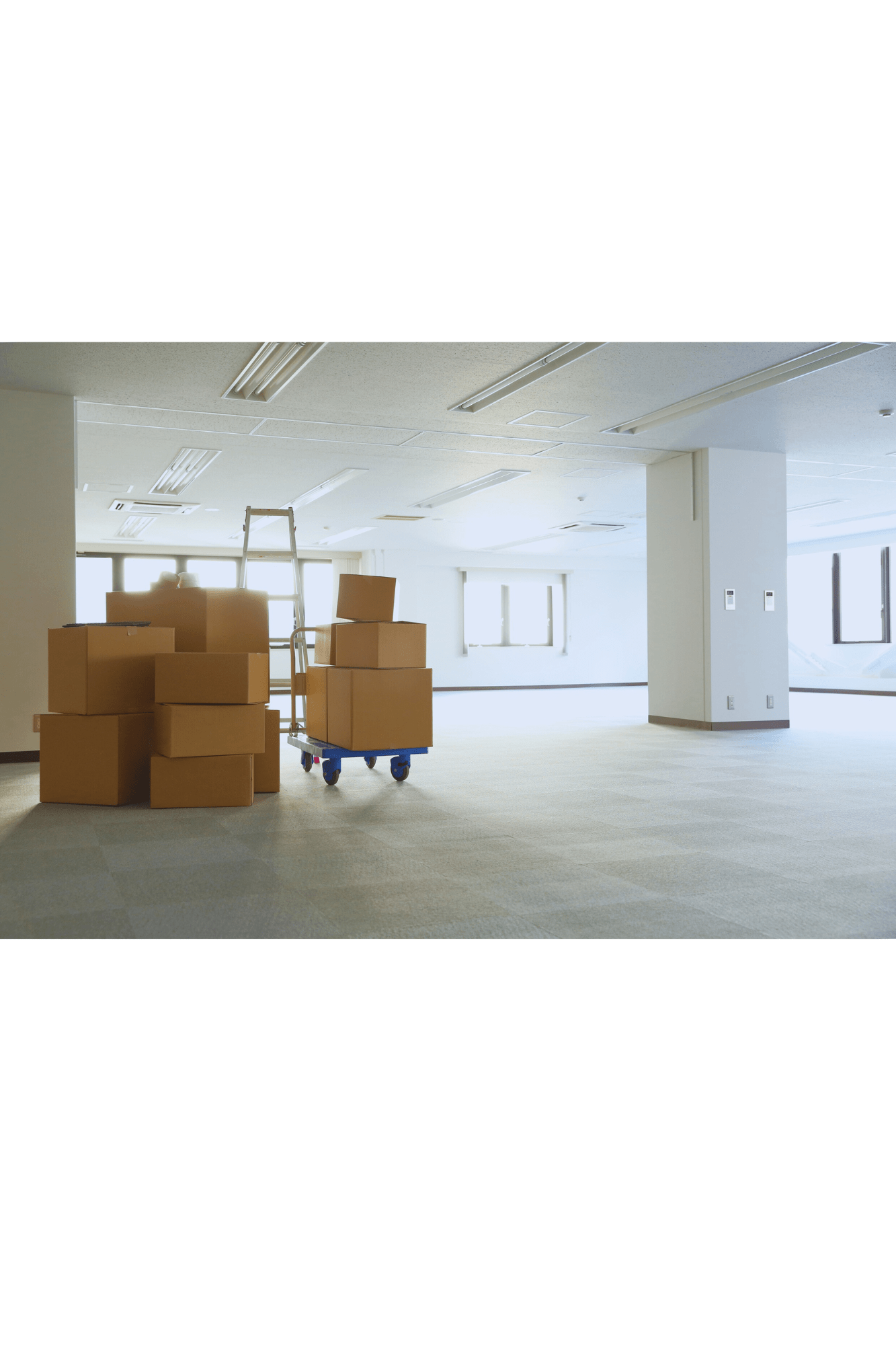 Büroauflösung Niederösterreich